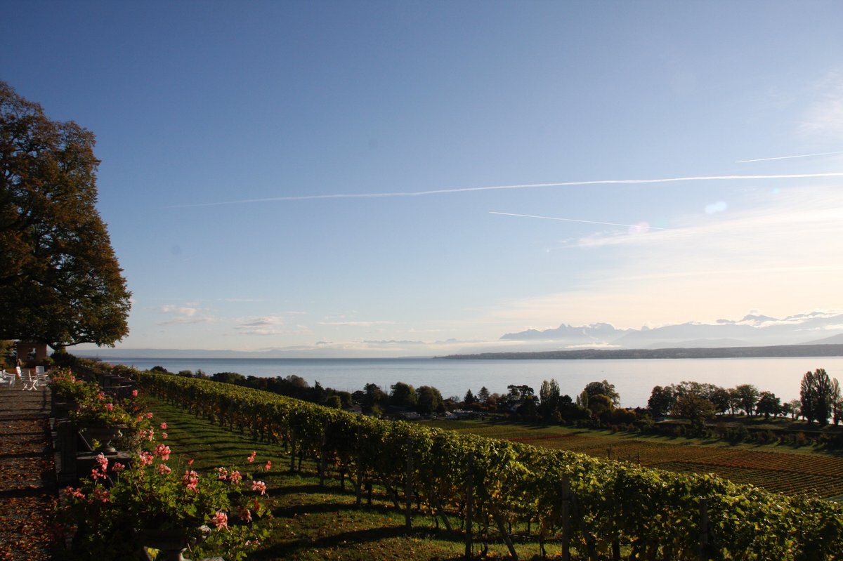 Vignoble AOC Nyon La Côte au bord du lac Léman – Château de Crans