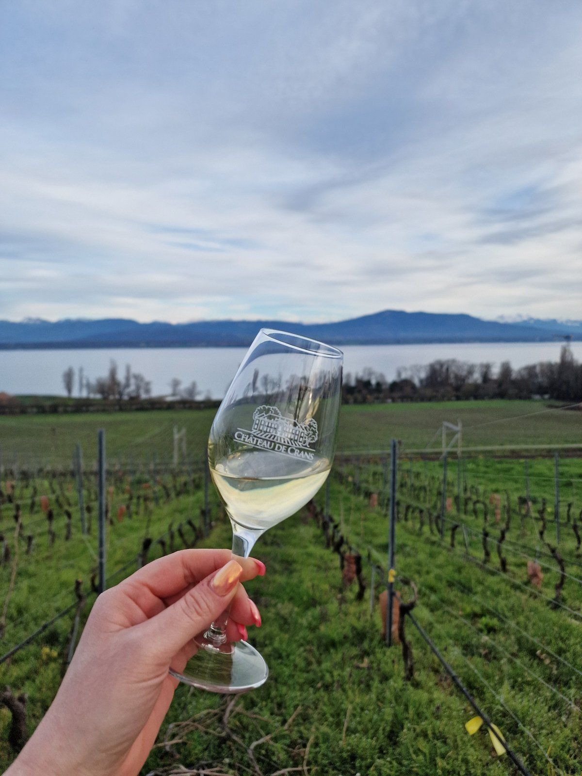 Verre de Chasselas du Château de Crans dans les vignes avec vue sur le lac Léman